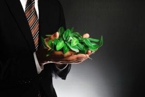 Go green for 2015: A guide to a more environmentally friendly office